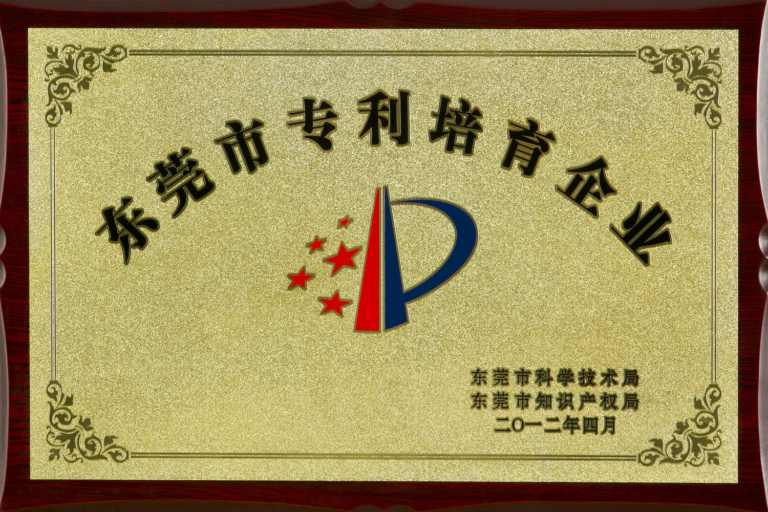 东莞市专利培育企业